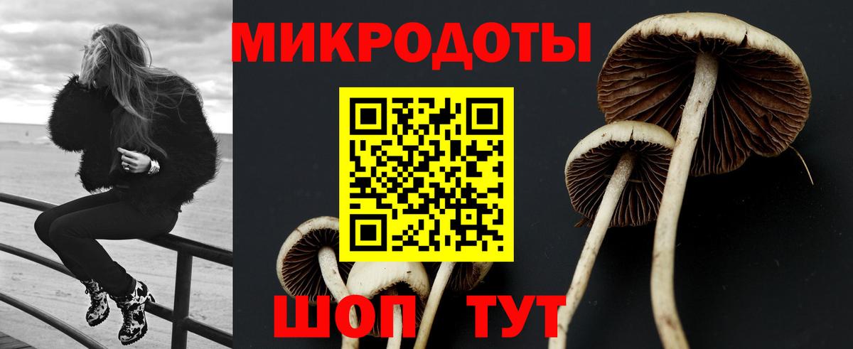 Галлюциногенные грибы MAGIC MUSHROOMS Гусиноозёрск